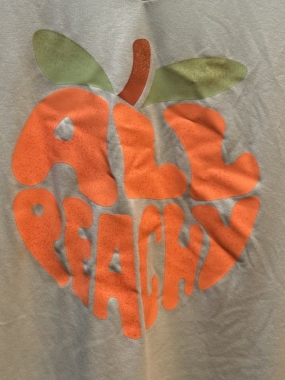 Lularoe T-shirt Blue “All Peachy” Women’s Medium Peach